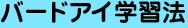 バードアイ学習法