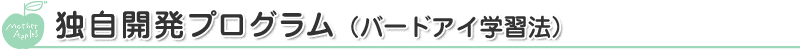 独自開発プログラム(バードアイ学習法)